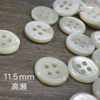 PH124 Cúc Vỏ Trai Sakamoto Saiji Shoten Ảnh phụ