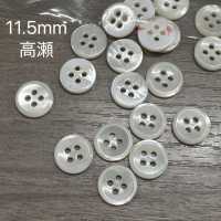 PH124 Cúc Vỏ Trai Sakamoto Saiji Shoten Ảnh phụ