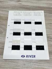 PW131H Cúc Oberon[Chun] RIVER Ảnh phụ