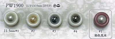 PW1900 Cúc Kiểu Ngọc Trai Dùng để Nhuộm