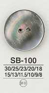 SB100 Cúc Vỏ Trai