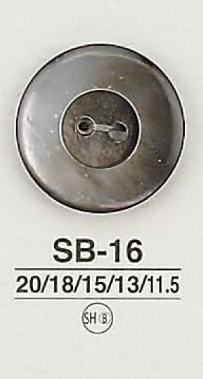 SB16 Cúc Vỏ Trai