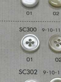 SC300 NÚT DAIYA Cúc Polyester Giống Vỏ Trai/sò/xà Cừ DAIYA BUTTON Ảnh phụ