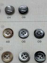 SC300 NÚT DAIYA Cúc Polyester Giống Vỏ Trai/sò/xà Cừ DAIYA BUTTON Ảnh phụ