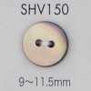 SHV150 Cúc Vỏ Trai 2 Lỗ