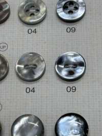 SU104 NÚT DAIYA Cúc Polyester Giống Vỏ Trai/sò/xà Cừ DAIYA BUTTON Ảnh phụ