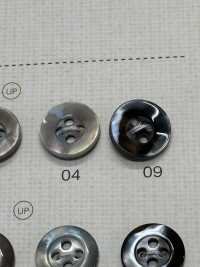 SU112 NÚT DAIYA Cúc Polyester Giống Vỏ Trai/sò/xà Cừ DAIYA BUTTON Ảnh phụ