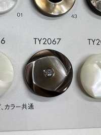 TY2067 Cúc Nhựa Resin Polyester DAIYA BUTTON Ảnh phụ