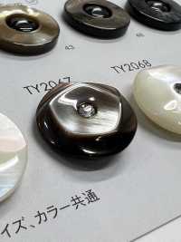 TY2067 Cúc Nhựa Resin Polyester DAIYA BUTTON Ảnh phụ