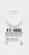KV4880 Cúc áo Sơ Mi Dùng để Nhuộm