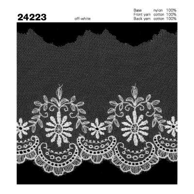 24223 Ren Tuyn