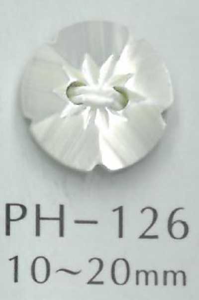 PH126 Cúc Vỏ Trai Hoa 2 Lỗ
