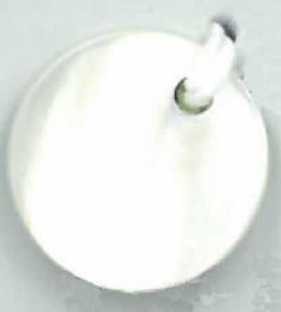 PH339 Cúc Vỏ Trai Lỗ Cạnh