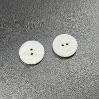 WB127 Cúc Vỏ Trai Vỏ Trai/sò/xà Cừ Nước Ngọt 2 Lỗ Có Viền Sakamoto Saiji Shoten Ảnh phụ