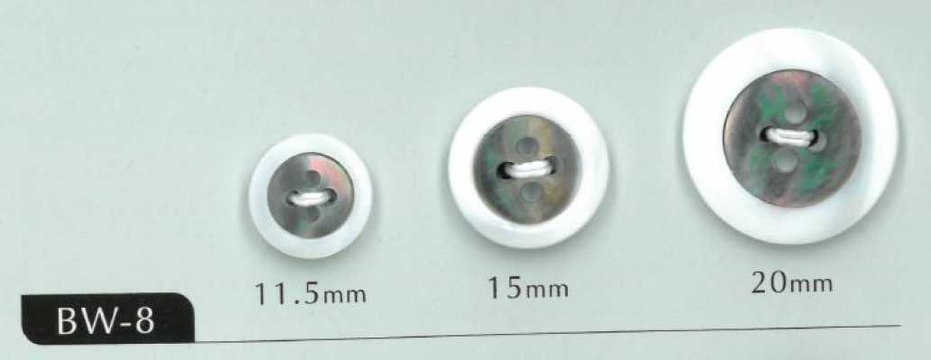 BW-8 Cúc Vỏ Trai 4 Lỗ Viền Bạch điệp