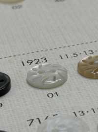 1923 NÚT DAIYA Cúc Polyester 2 Vỏ Trai/sò/xà Cừ DAIYA BUTTON Ảnh phụ