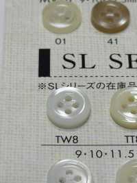 TW8 NÚT DAIYA Cúc Polyester Giống Vỏ Trai/sò/xà Cừ DAIYA BUTTON Ảnh phụ