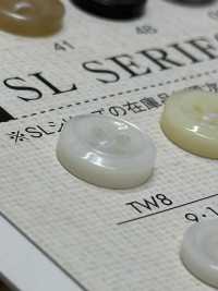 TW8 NÚT DAIYA Cúc Polyester Giống Vỏ Trai/sò/xà Cừ DAIYA BUTTON Ảnh phụ