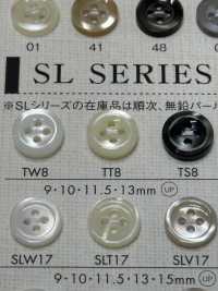 TT8 NÚT DAIYA Cúc Polyester Giống Vỏ Trai/sò/xà Cừ DAIYA BUTTON Ảnh phụ
