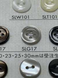 SLG17 NÚT DAIYA Cúc Polyester Giống Vỏ Trai/sò/xà Cừ DAIYA BUTTON Ảnh phụ