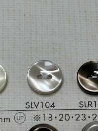 SLV104 NÚT DAIYA Cúc Polyester Giống Vỏ Trai/sò/xà Cừ DAIYA BUTTON Ảnh phụ