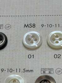 MS8 NÚT DAIYA Cúc Polyester Giống Vỏ Trai/sò/xà Cừ DAIYA BUTTON Ảnh phụ