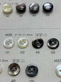 MS8 NÚT DAIYA Cúc Polyester Giống Vỏ Trai/sò/xà Cừ DAIYA BUTTON Ảnh phụ