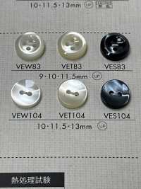 VEW104 NÚT DAIYA Cúc Polyester Giống Vỏ Trai/sò/xà Cừ DAIYA BUTTON Ảnh phụ