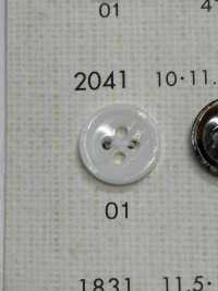 2041 NÚT DAIYA Cúc Polyester Giống Vỏ Trai/sò/xà Cừ DAIYA BUTTON Ảnh phụ