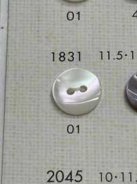 1831 NÚT DAIYA Cúc Polyester Giống Vỏ Trai/sò/xà Cừ DAIYA BUTTON Ảnh phụ