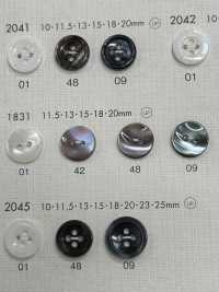 1831 NÚT DAIYA Cúc Polyester Giống Vỏ Trai/sò/xà Cừ DAIYA BUTTON Ảnh phụ