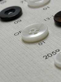 OPH331 NÚT DAIYA Cúc Polyester Giống Vỏ Trai/sò/xà Cừ DAIYA BUTTON Ảnh phụ