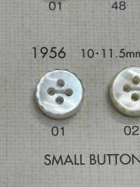 1956 NÚT DAIYA Cúc Polyester Giống Vỏ Trai/sò/xà Cừ DAIYA BUTTON Ảnh phụ