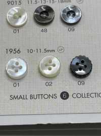 1956 NÚT DAIYA Cúc Polyester Giống Vỏ Trai/sò/xà Cừ DAIYA BUTTON Ảnh phụ