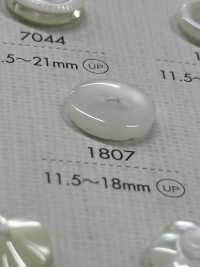 1807 NÚT DAIYA Cúc Polyester Hai Lỗ DAIYA BUTTON Ảnh phụ