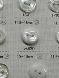 M820 NÚT DAIYA Cúc Polyester Hai Lỗ DAIYA BUTTON Ảnh phụ