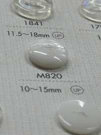 M820 NÚT DAIYA Cúc Polyester Hai Lỗ DAIYA BUTTON Ảnh phụ
