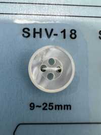 SHV18 Cúc Vỏ Trai 4 Lỗ DAIYA BUTTON Ảnh phụ