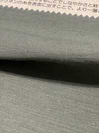 BD6101 Vải Sợi Gai Cotton Vải Back Satin COSMO TEXTILE Ảnh phụ