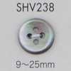 SHV238 Cúc Vỏ Trai 4 Lỗ