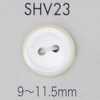 SHV23 Cúc Vỏ Trai 2 Lỗ