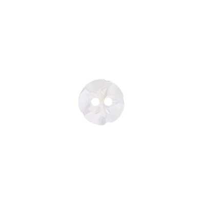ST1036 Nút 2 Lỗ Mặt Làm Từ Vỏ Takase