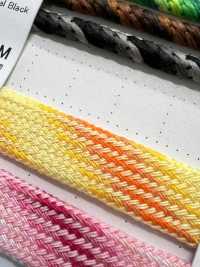 GD6AC-M Dây Chuyển Màu Gradient 13,5MM[Ruy Băng, Băng, Dây] Cordon Ảnh phụ