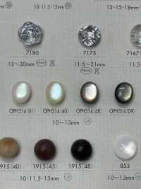 OPH314 Cúc Nhựa Resin Polyester Ảnh phụ