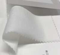 6520 20 / CLEANSE Vải Cotton Tenjiku Fujisaki Textile Ảnh phụ
