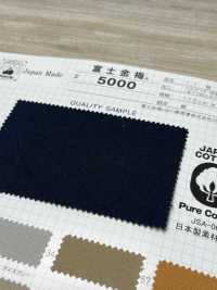 5000 Fujikinbai Kinbai Cotton Canvas Chế Biến Nhựa Resin đánh Thuê Số 11[Vải] Fuji Kinume Ảnh phụ