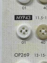 MYP43 Cúc 4 Lỗ Viền Nhựa Resin Polyester Ảnh phụ