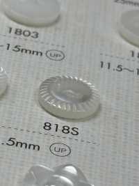 818S NÚT DAIYA Cúc Polyester Hai Vỏ Trai/sò/xà Cừ DAIYA BUTTON Ảnh phụ