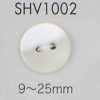SHV1002 Cúc Vỏ Trai 2 Lỗ