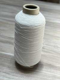 SSR500 Cao Chun Nhăn Ảnh phụ